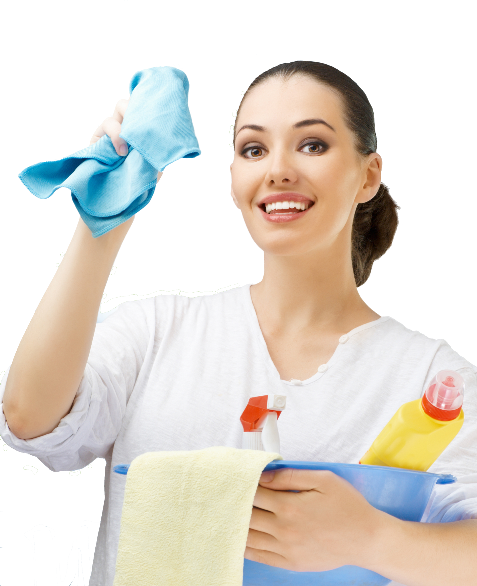 Oven Cleaner – Clean Environment Company